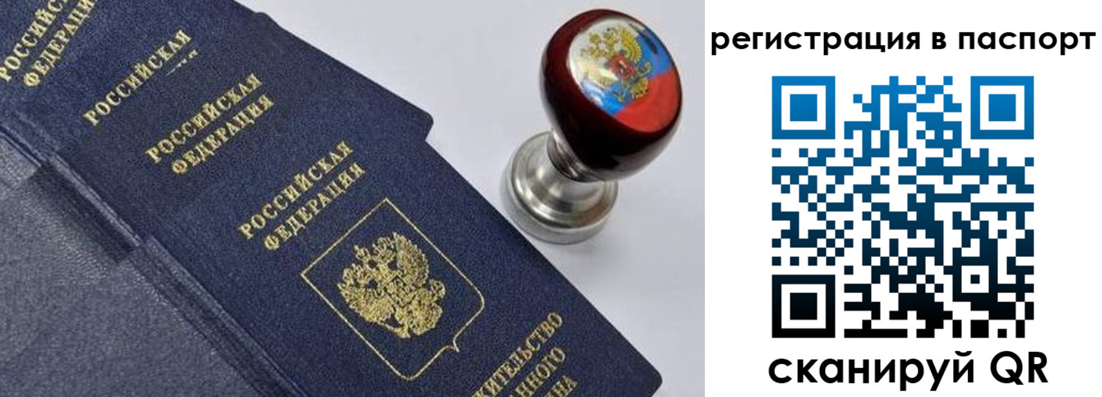 прописка поиск в Пионерском