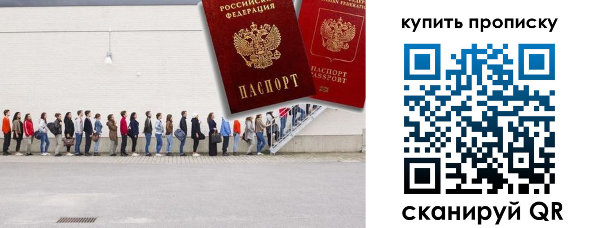 прописка штамп в Пионерском